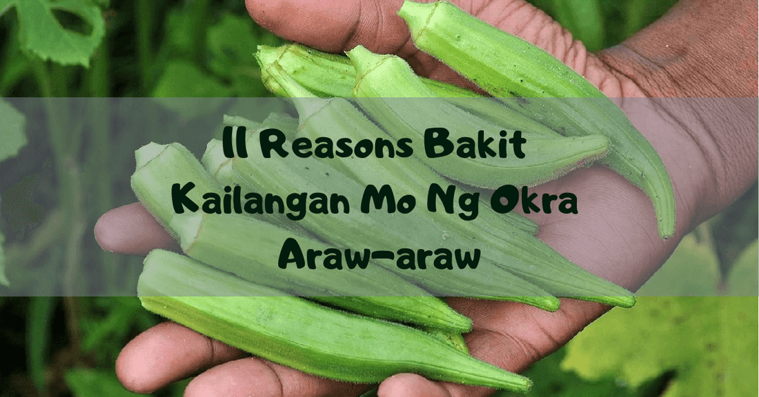 11  Reasons Bakit Kailangan Mo Ng Okra Araw-araw