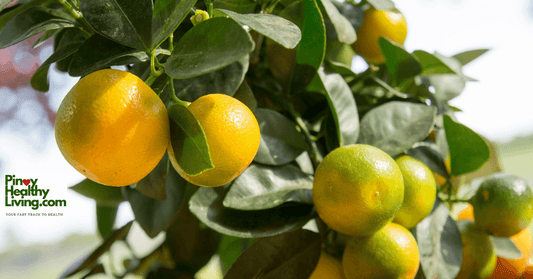 calamansi anti cancer properties