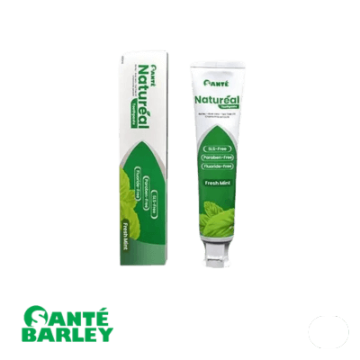 Natureal Toothpaste 100ml | Santé Barley