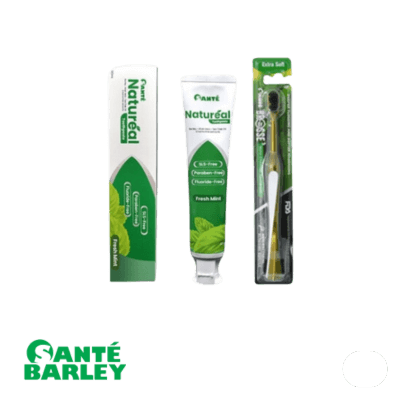 Natureal Toothpaste 100ml With Brosse Toothbrush |  Santé Barley